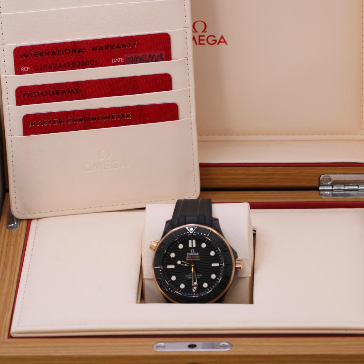 Omega Seamaster Diver